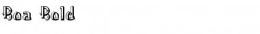 Download Boa Font Download Boa Font