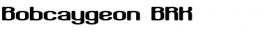 Download Bobcaygeon (BRK) Font Download Bobcaygeon (BRK) Font