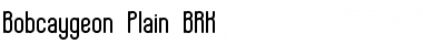 Download Bobcaygeon Plain (BRK) Font Download Bobcaygeon Plain (BRK) Font