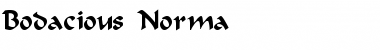 Download Bodacious-Norma Font Download Bodacious-Norma Font