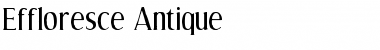 Download Effloresce Antique Font Download Effloresce Antique Font