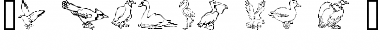 Download GE Birds of a Feather Font Download GE Birds of a Feather Font