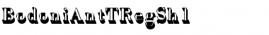 Download BodoniAntTRegSh1 Font Download BodoniAntTRegSh1 Font