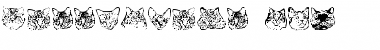 Download KittyPrint AOE Font Download KittyPrint AOE Font