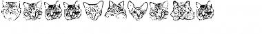 Download KittyPrint Font Download KittyPrint Font