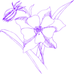 Flower 502 Clip Art