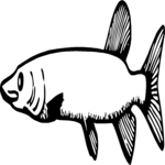 Fish 017 Clip Art