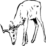 Antelope 15 Clip Art