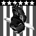 Eagle & Flag Clip Art