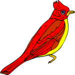 Cardinal 6 Clip Art