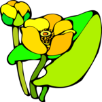 Water Lily 4 Clip Art