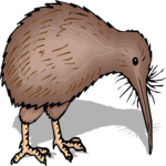 Kiwi Bird 5 Clip Art