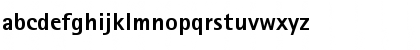 RotisSansSerif75-ExtraBold Extra Bold Font