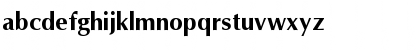 AGOptCyrillic Bold Font