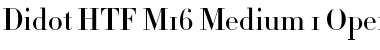 Didot HTF-M16-Medium Font