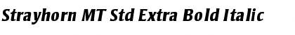 Strayhorn MT Std Extra Bold Italic Font