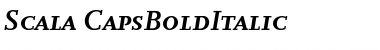 Scala Bold Italic Font