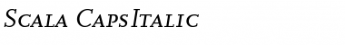 Scala Medium Italic Font